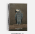 African Gray Parrot Notebook