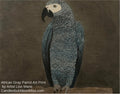 African Gray Parrot Fridge Magnet