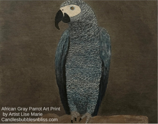 African Gray Parrot Fridge Magnet