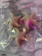 Starfish Island Bliss Wax Melts-Sugar Cookie Bliss