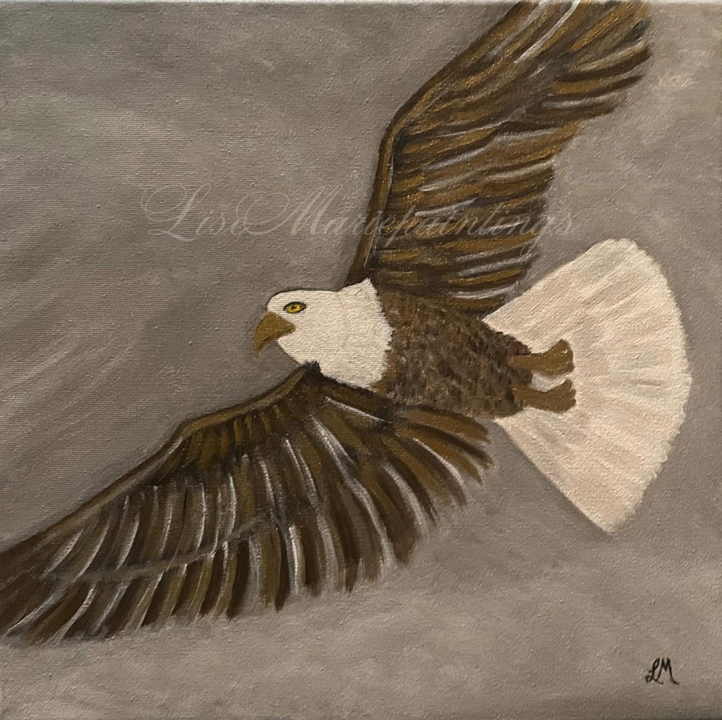 Eagle in Flight Acrylic Painting Art Print