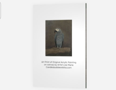 African Gray Parrot Art Print Greeting Card