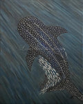 Whale Shark Art Print