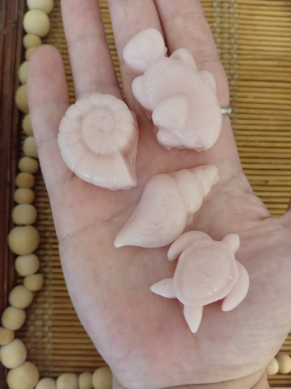 Seashells Wax Melts