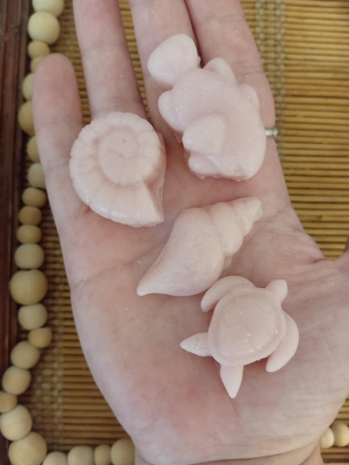Seashells Wax Melts