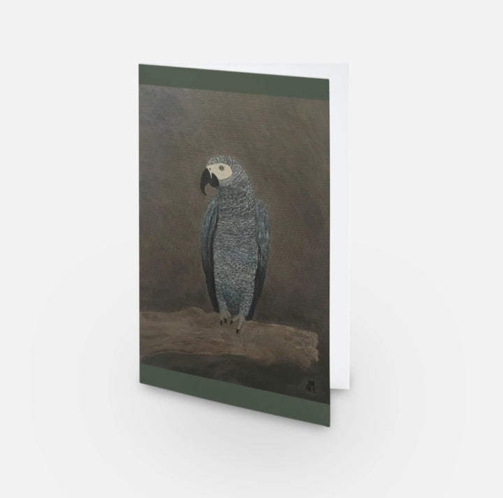African Gray Parrot Art Print Greeting Card