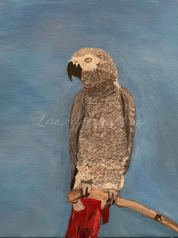 African Grey Parrot Art Print