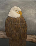 Bald Eagle Art Print