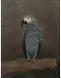 Blue Parrot Art Print