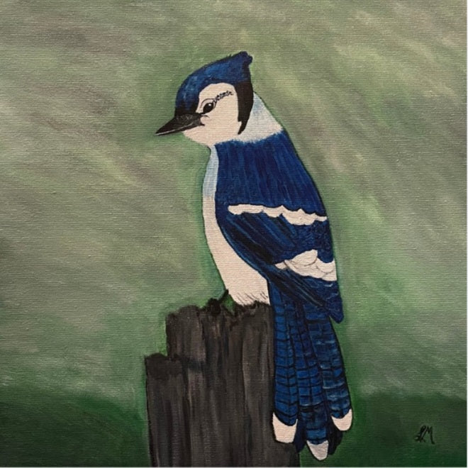 Bluejay Art Print