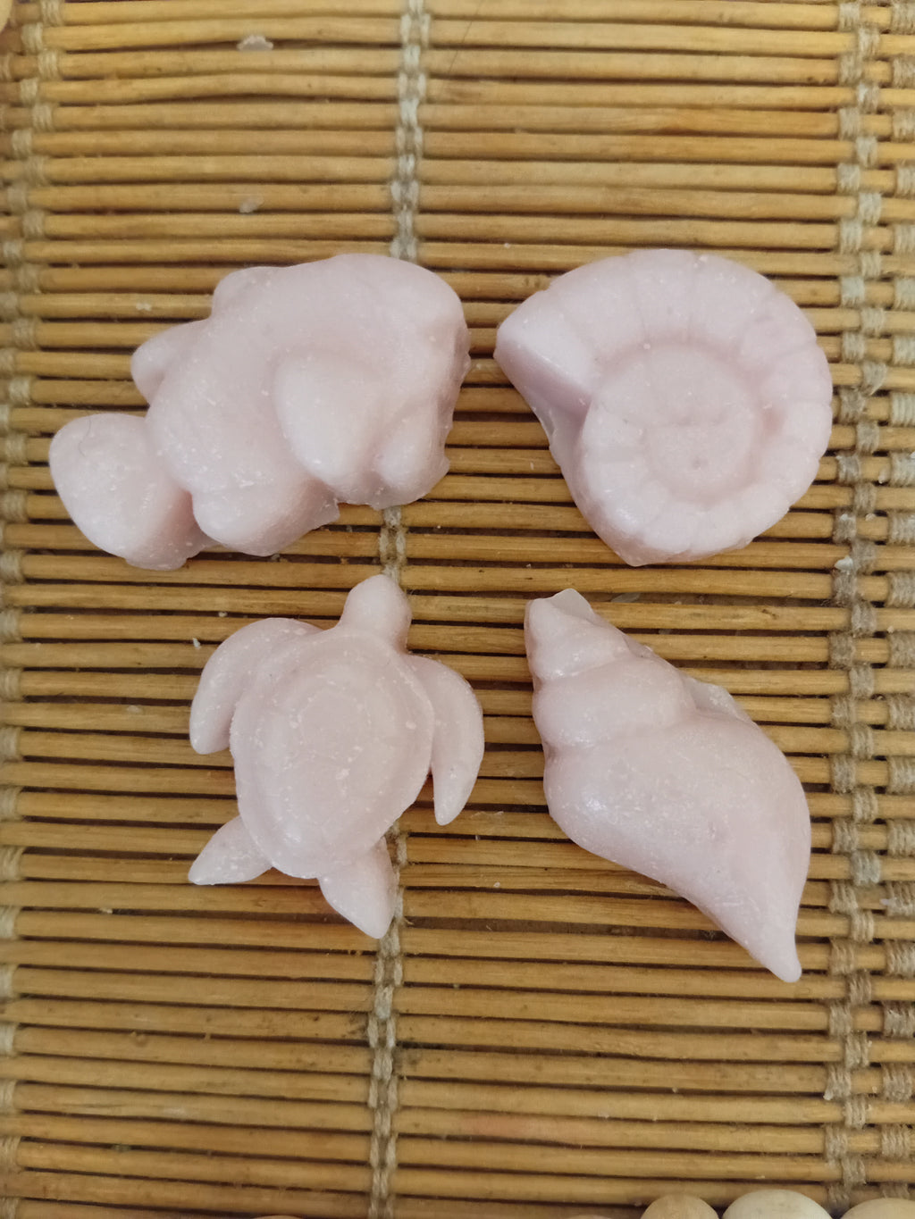 Seashells Wax Melts
