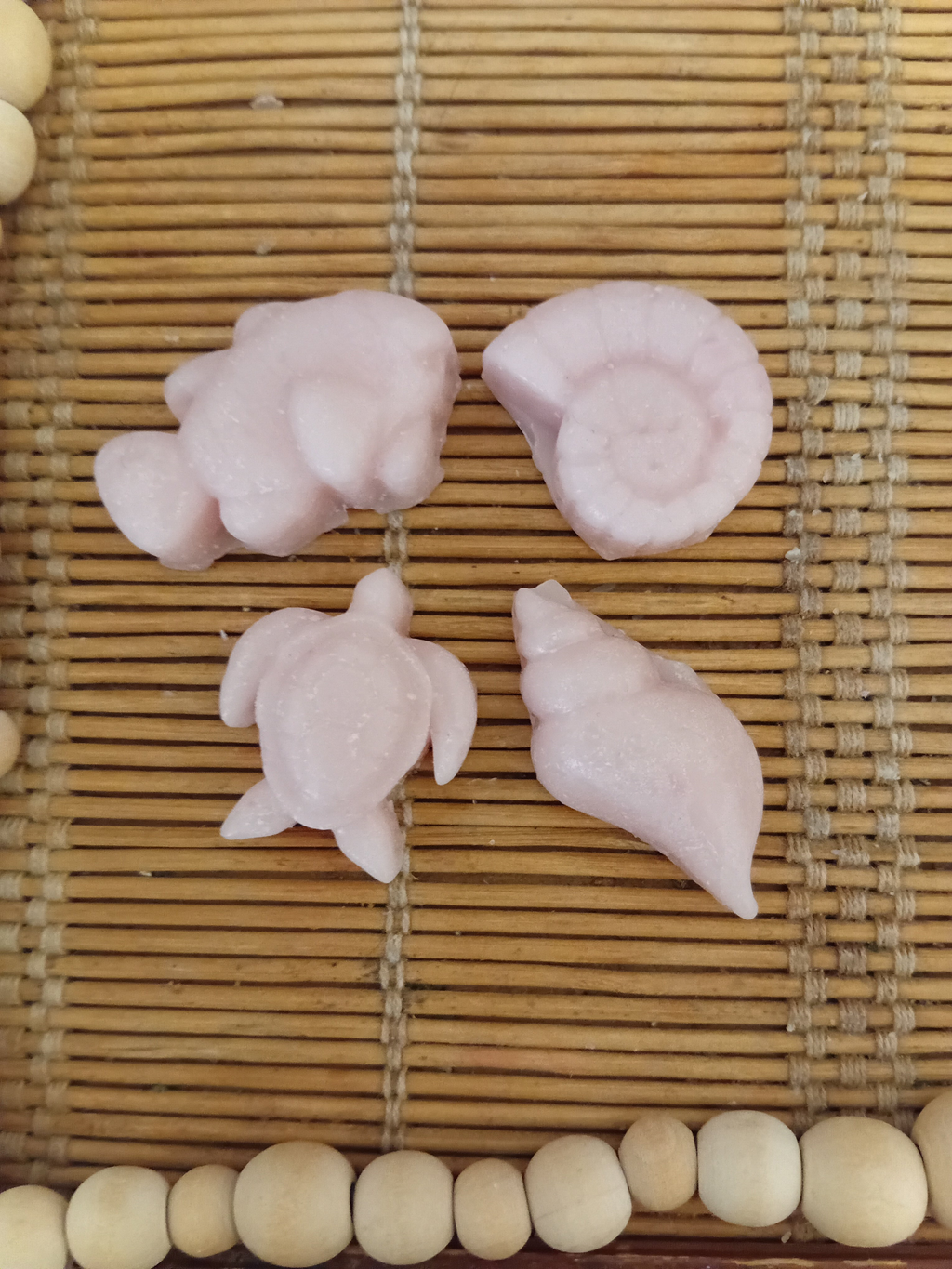 Seashells Wax Melts