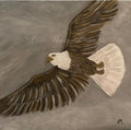 Eagle in flight Art Print