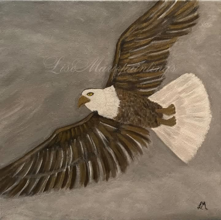 Eagle in flight Art Print